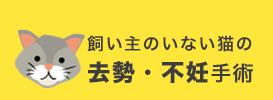 飼い主のいない猫の去勢・不妊手術